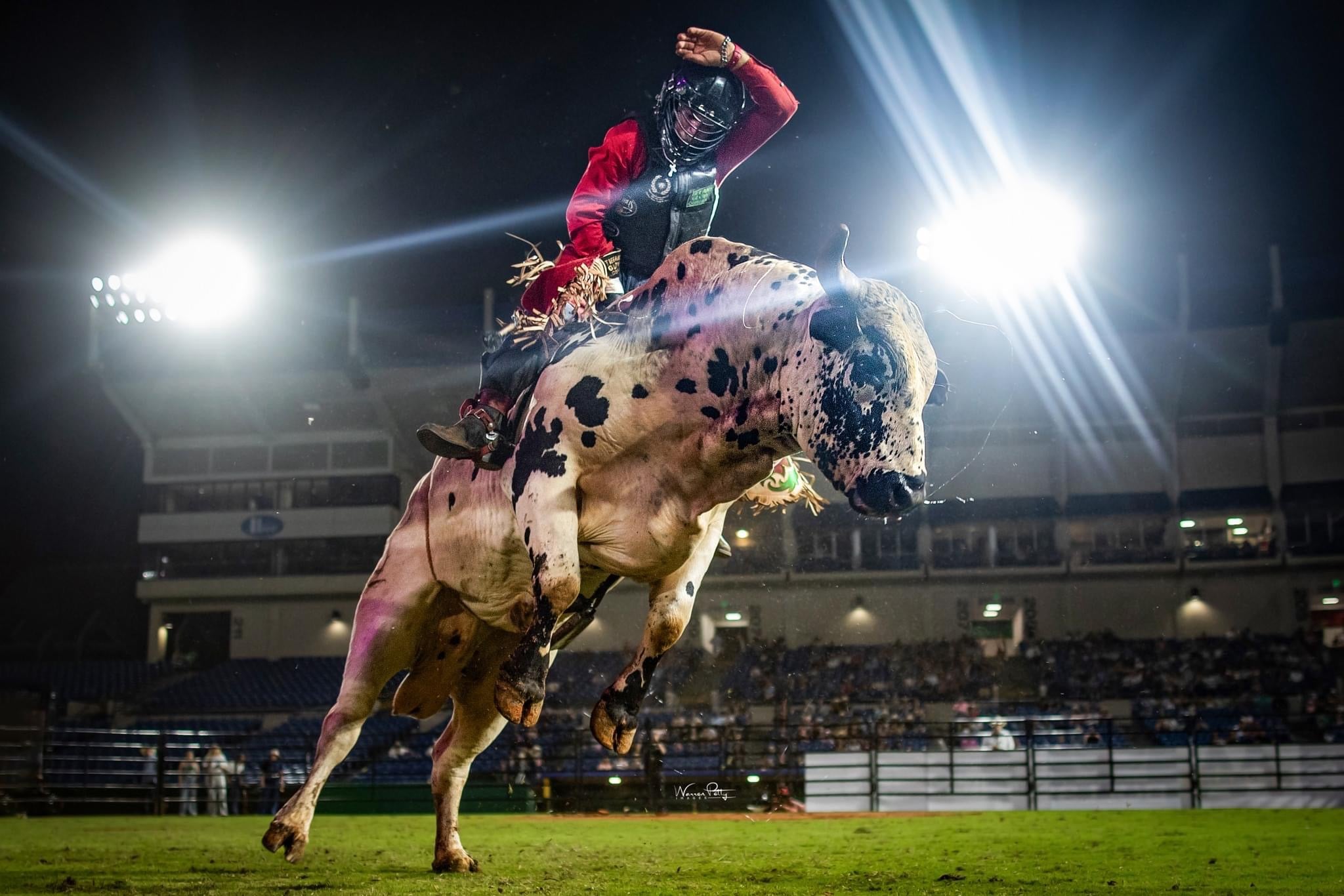 Rockin' D Rodeo Productions – Bulls at the Ballpark