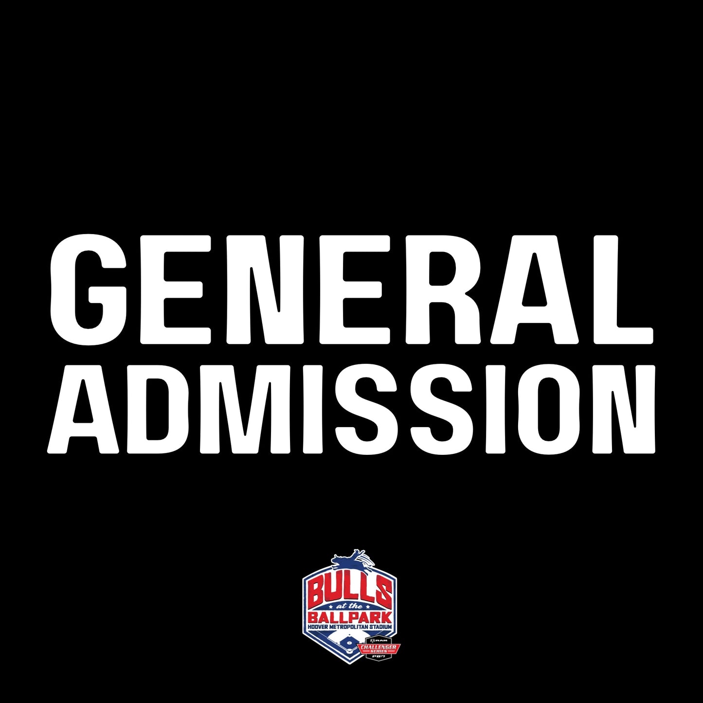 Bulls At The Ballpark GENERAL ADMISSION